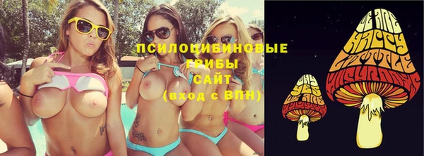 apvp Арсеньев