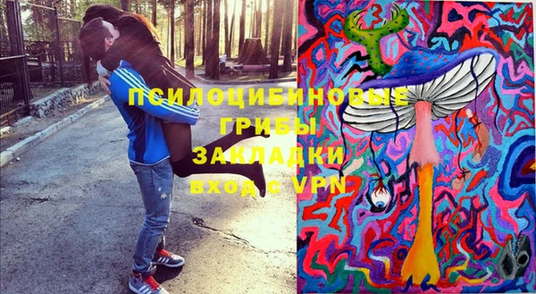 трава Армянск